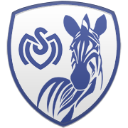 SSG 엠블럼